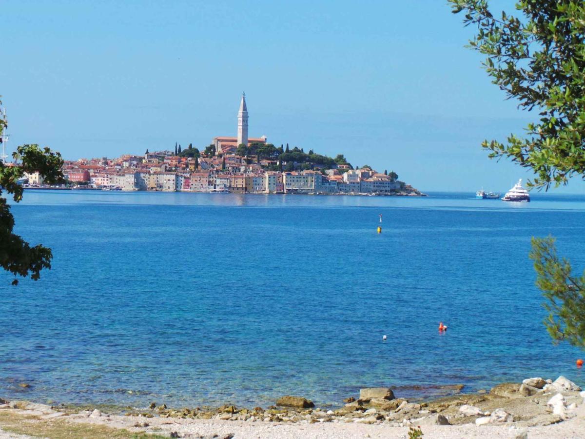 Apartment In Rovinj/Istrien 11735 Εξωτερικό φωτογραφία