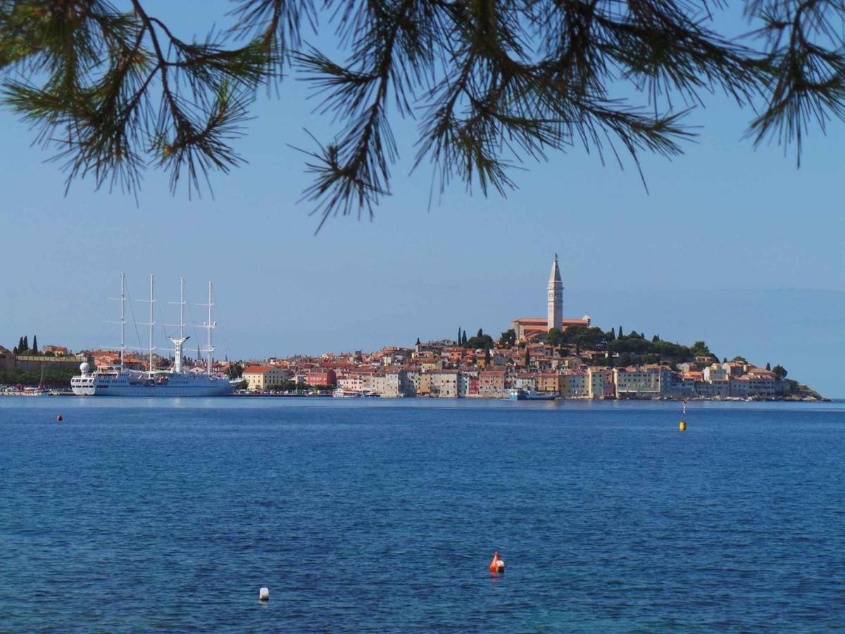 Apartment In Rovinj/Istrien 11735 Εξωτερικό φωτογραφία